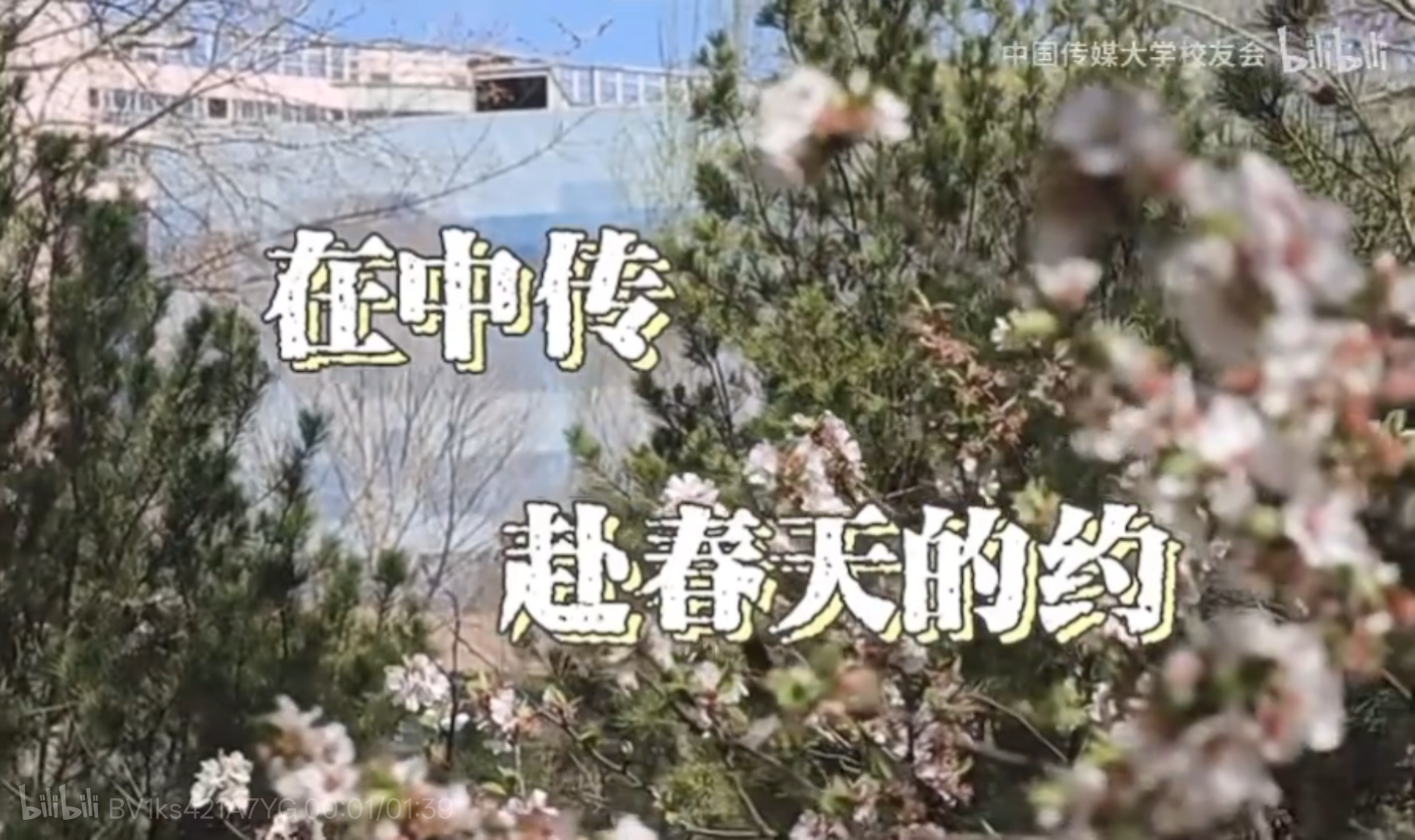 校园春景丨让我们在中传的校园里寻找春天，赴一场春天的约会吧