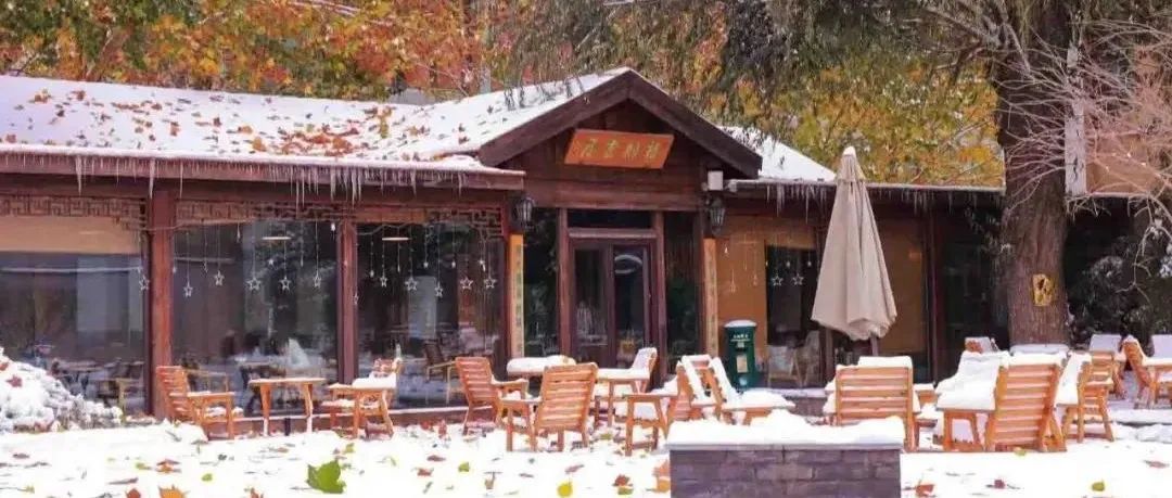 初雪相遇｜银杏叶配雪 不如中传配你