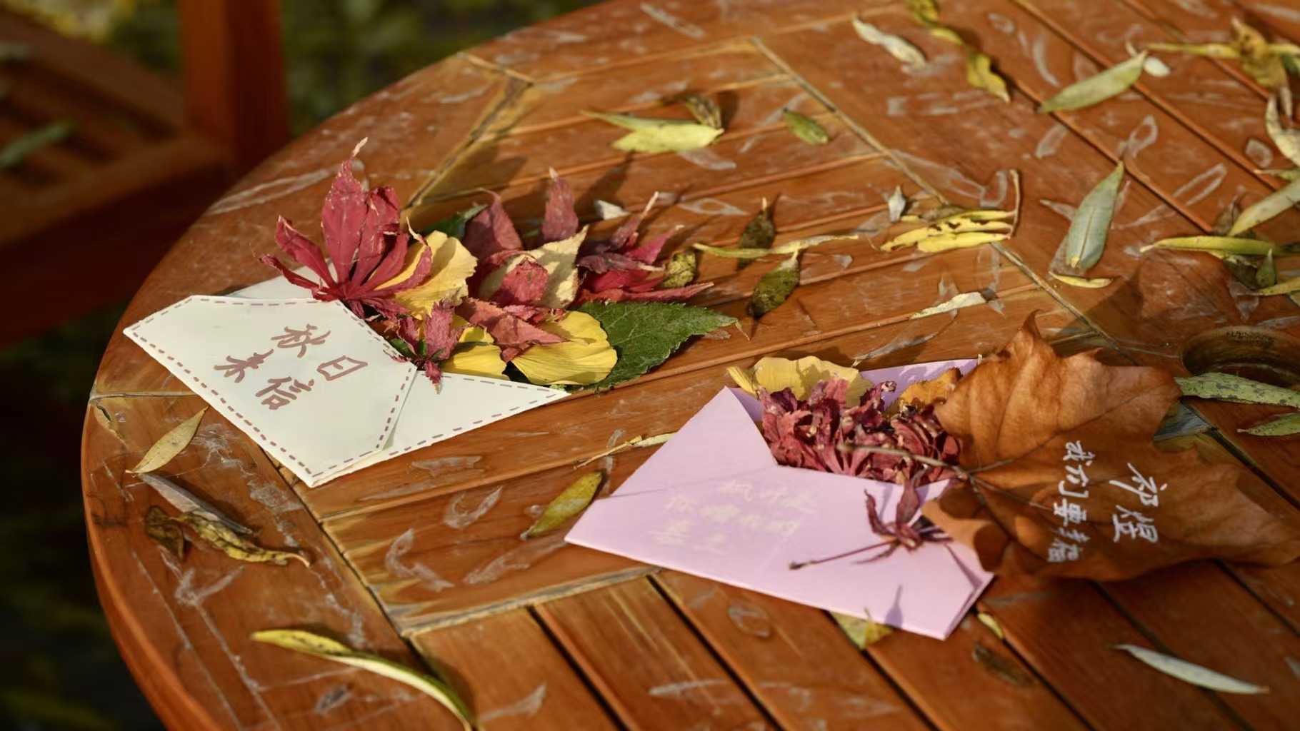 “拾叶成秋· 手工邀约”校友赋能活动圆满落下帷幕，与我们一起来共赴一场与落叶的盛大约会吧！