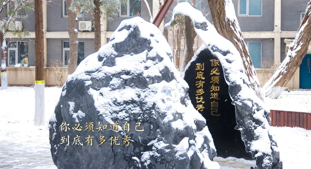 精彩的2024，从这一帧开始！