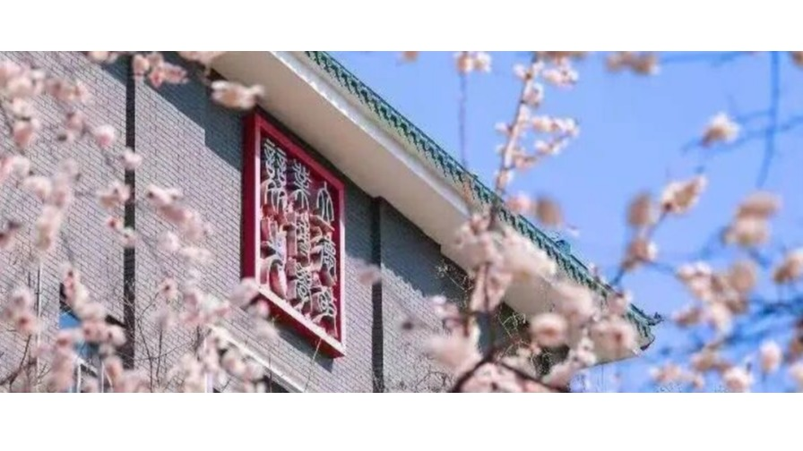 白杨资讯丨2026研考初试成绩可查:中国传媒大学等你！