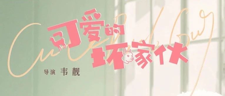 校友作品推介｜校友主创剧集《可爱的坏家伙》火热开播 漫画照进现实开启校园甜恋