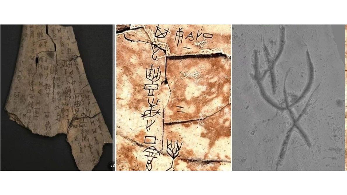 白杨资讯丨中传教学案例获教育部学位与研究生教育发展中心年度主题案例立项