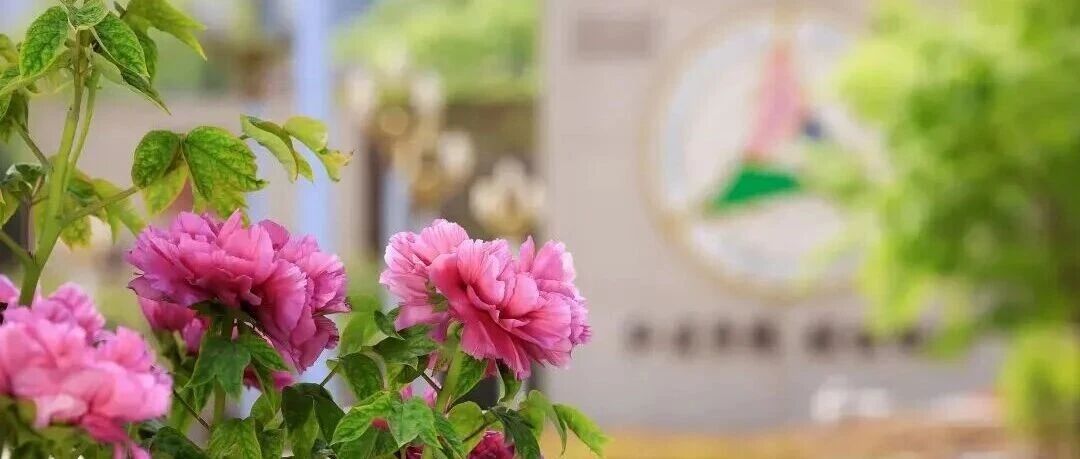 白杨资讯丨中传春季读书周：院长带你读书（四）