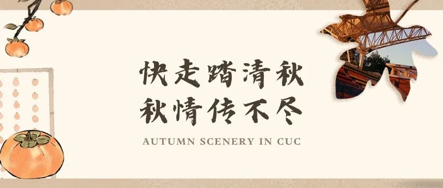 与秋相遇丨快走踏清秋，秋情传不尽