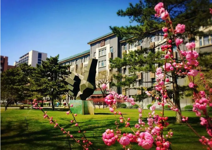 情牵白杨｜以诗寄情，美好岁月缱绻在字词间