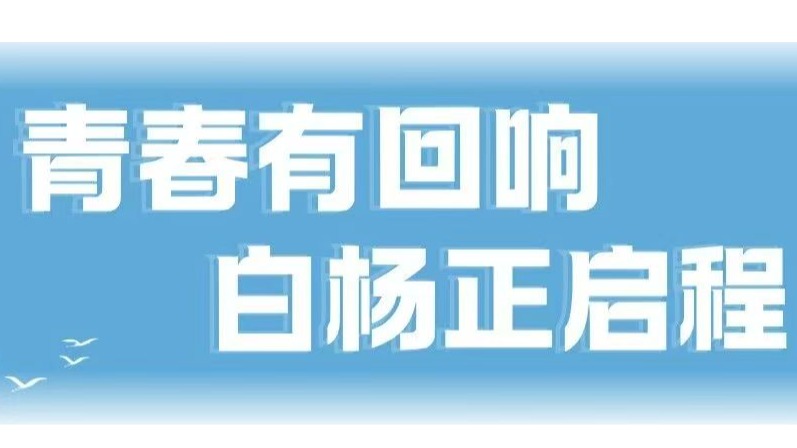 校友寄语丨青春有回响 白杨正启程